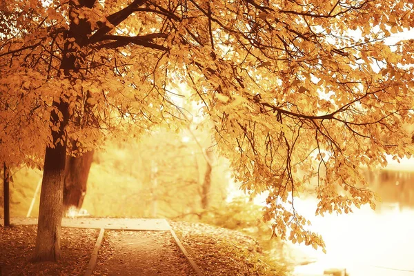 Zonnig Landschap Herfstpark Achtergrond Herfstseizoen Oranje Park — Stockfoto