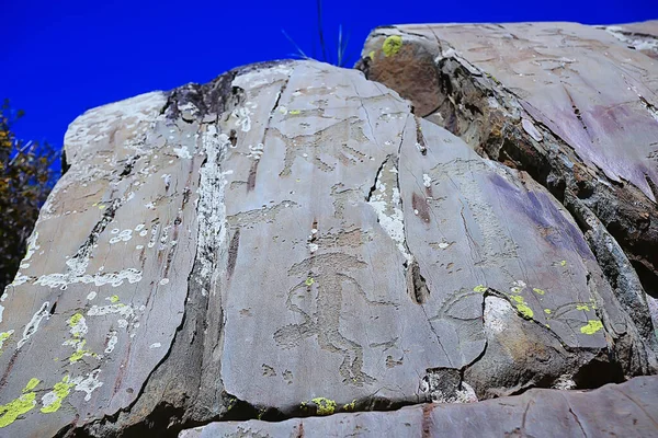 Petroglify Sztuka Prehistoryczna Kamieniu Epoka Kamienia Łupanego Altaiskie Góry Rosji — Zdjęcie stockowe