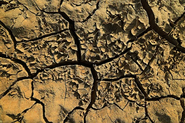 Drought Field Agriculture Problem Heat Cracked Earth — Stock Photo, Image