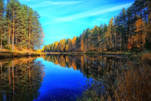 Scenic Autumn Landscape Trees Forest River Lake Nature View Fall — Stock Photo, Image