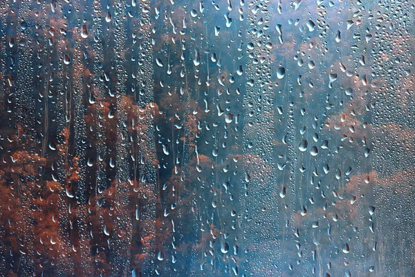 rain window view, water drops on glass view forest and mountains landscape background