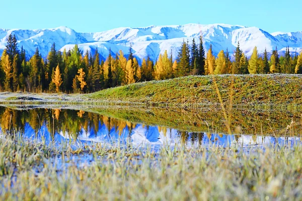 Алтайский Горный Ландшафт Панорамный Осенний Пейзаж Осенний Вид Природу — стоковое фото