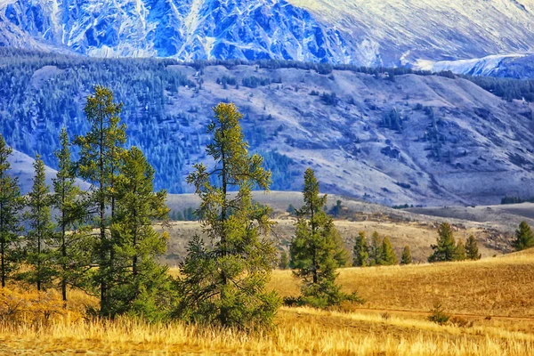 Altai Paesaggio Montano Panorama Autunno Paesaggio Sfondo Caduta Vista Natura — Foto Stock