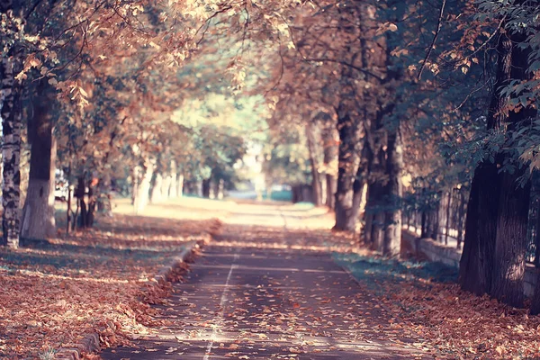 秋の公園風景の路地10月の黄色い道の季節の風景 — ストック写真