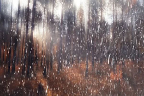 Outono Paisagem Natureza Chuva Gotas Tempo Molhado Livre Paisagem Vista — Fotografia de Stock