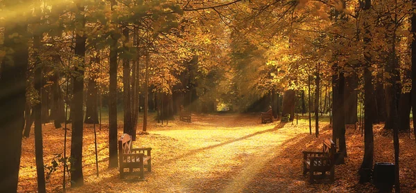 Sunny Landscape Fall Park Autumn Season Background Orange Park — Stock Photo, Image