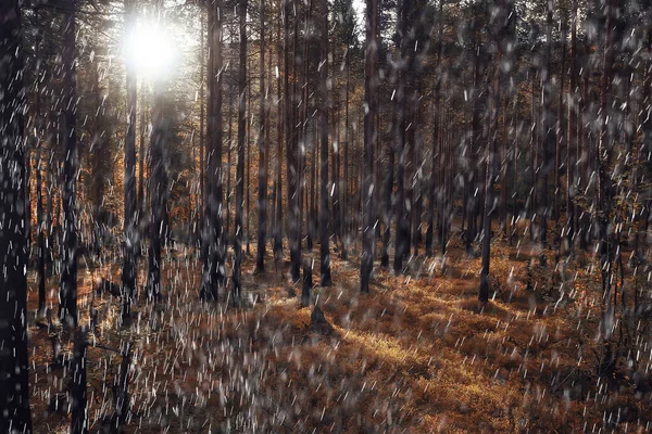 Herfst Landschap Natuur Regen Druppels Weer Nat Buiten Landschap Uitzicht — Stockfoto