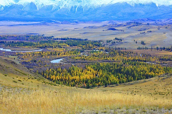 Altai Hora Krajina Hory Pozadí Pohled Panorama — Stock fotografie