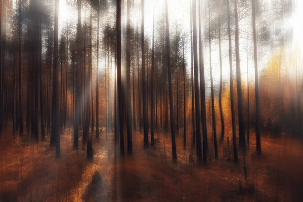 Wazig Achtergrond Herfst Natuur Landschap Abstracte Vervaging Bokeh Weergave Van — Stockfoto