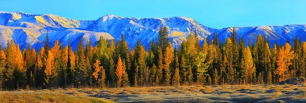 Höst Skog Berg Panorama Landskap Träd Natur Gul Säsong — Stockfoto