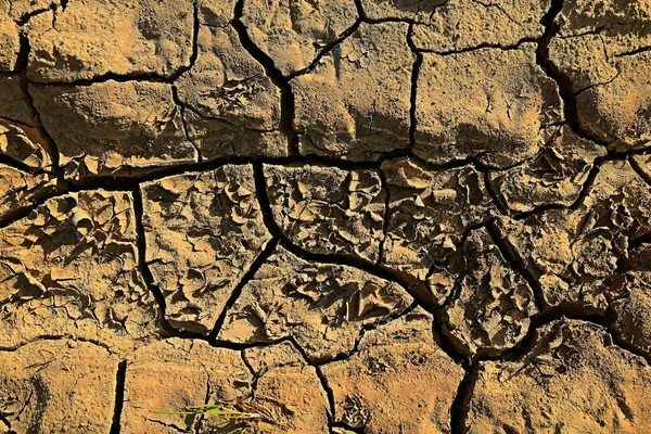 Textuur Woestijn Droogte Achtergrond Abstract Aarde Gebarsten Opwarming Globaal — Stockfoto