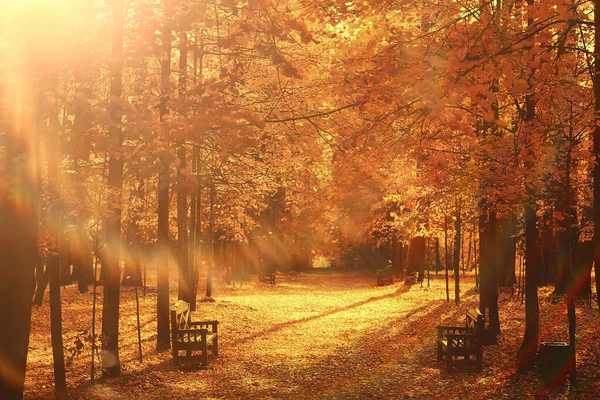 Abstraktní Rozmazané Podzimní Pozadí Park Město Podzim Příroda Říjen — Stock fotografie