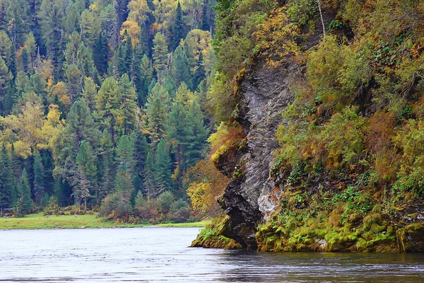 Les Horách Krajina Krásná Zelená Příroda Léto Pozadí Les — Stock fotografie