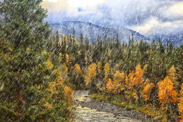 秋景天然雨滴天气潮湿户外景观秋景 — 图库照片