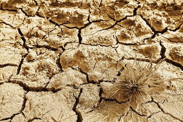 열을가 농경지의 가뭄으로 갈라지다 — 스톡 사진