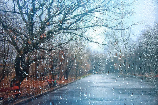 Rain Background Autumn Landscape Park Abstract Seasonal Nobody Weather October — Stock Photo, Image