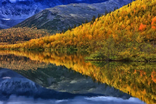 Malebné Podzimní Krajina Stromy Les Řeka Jezero Pohled Přírodu Podzim — Stock fotografie