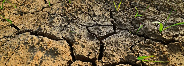 Tekstury Pustynia Susza Tło Streszczenie Ziemia Pęknięty Ocieplenie Globalne — Zdjęcie stockowe
