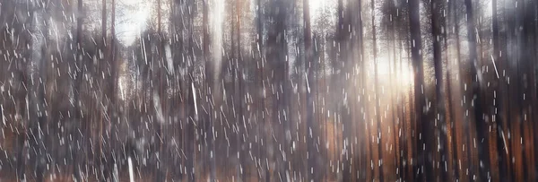 Осінній Пейзаж Природа Дощ Падає Погода Мокрий Відкритий Краєвид Осінь — стокове фото