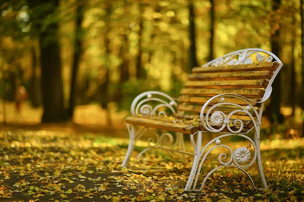 オブジェクトヴィンテージベンチ秋の公園フリースペース風景 — ストック写真