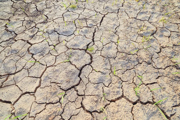 纹理沙漠干旱背景抽象地球裂解变暖全球 — 图库照片