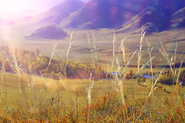 Altai Montanha Paisagem Montanhas Fundo Vista Panorama — Fotografia de Stock