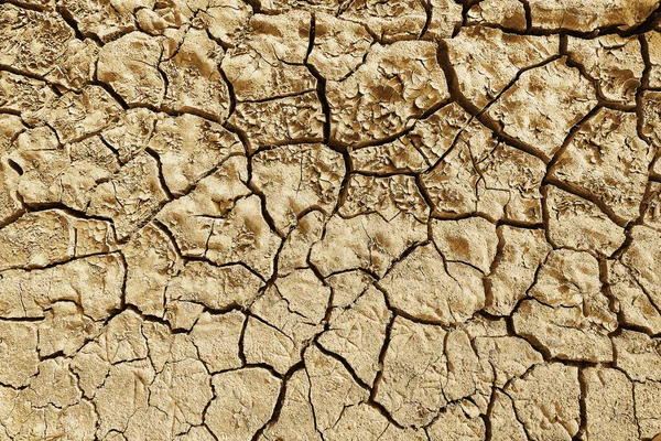 Textuur Woestijn Droogte Achtergrond Abstract Aarde Gebarsten Opwarming Globaal — Stockfoto