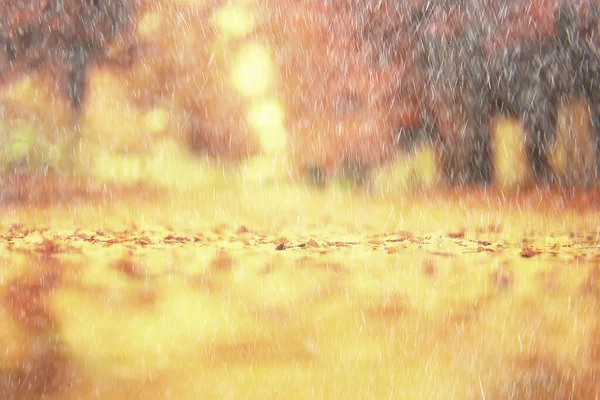 Abstrakcyjny Jesień Tło Deszcz Liście Tapety Park — Zdjęcie stockowe