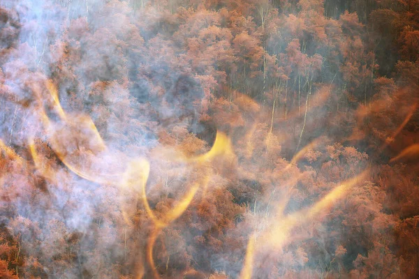 Forest Fire Background Landscape Abstract Fire Smoke Forest Drought Trees — Stock Photo, Image