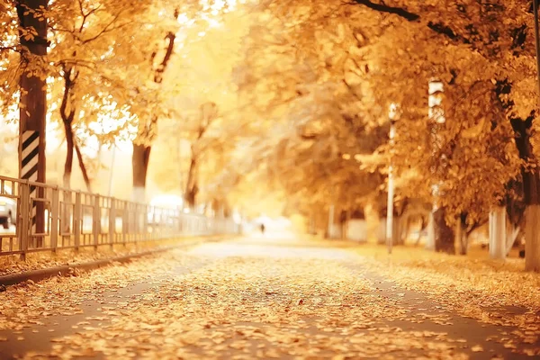 Slunečná Krajina Podzimním Parku Podzimní Sezóna Pozadí Oranžový Park — Stock fotografie