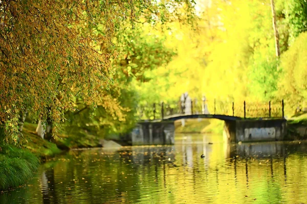 Central Park Sonbahar Manzaralı Gölet Güzel Sonbahar Manzaralı Sonbahar Manzaralı — Stok fotoğraf