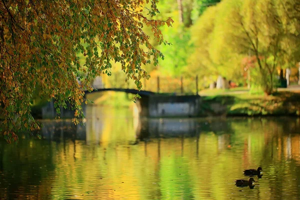 城市中央公园的秋景池 美丽的秋景景致秋天的自然 — 图库照片