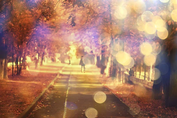 秋天公园小巷景观 秋天黄道带季节景观在10月份的城市 — 图库照片