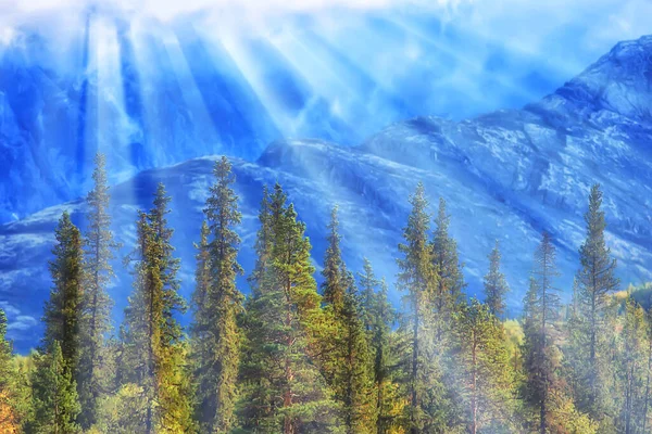 Ősz Taiga Erdő Táj Természet Kilátás Esik Hegyekben — Stock Fotó