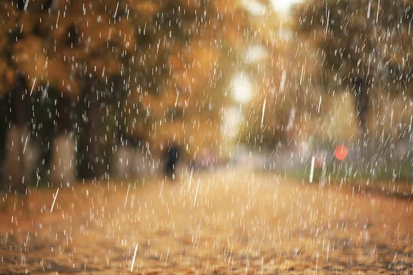 Rain Background Autumn Landscape Park Abstract Seasonal Nobody Weather October — Stock Photo, Image