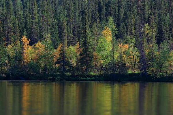 風光明媚な秋の風景木や森林川や湖自然景観秋の背景 — ストック写真