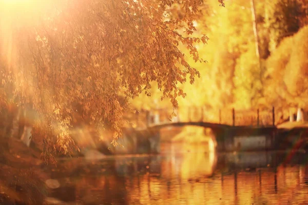 Paisaje Soleado Parque Otoño Otoño Temporada Fondo Naranja Parque — Foto de Stock