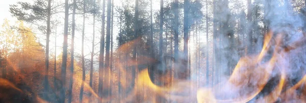 Skovbrande Baggrund Landskab Abstrakt Ild Røg Skoven Tørke Træer Brænder - Stock-foto