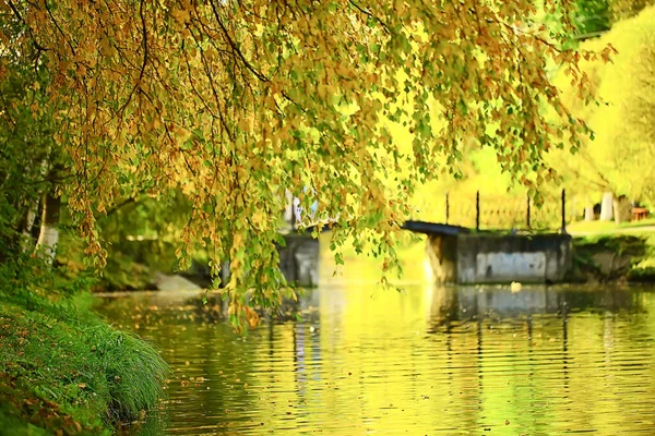 城市中央公园的秋景池 美丽的秋景景致秋天的自然 — 图库照片