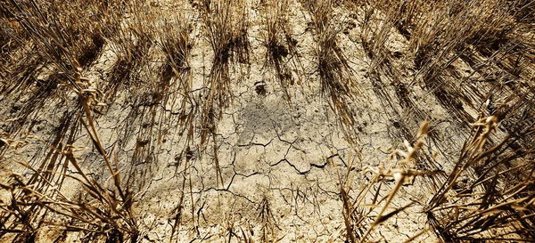 Textúra Sivatag Szárazság Háttér Elvont Föld Repedt Felmelegedés Globális — Stock Fotó