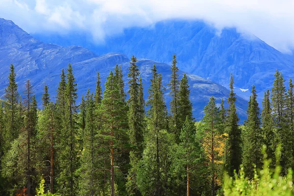 Höst Taiga Skog Landskap Natur Utsikt Faller Bergen — Stockfoto