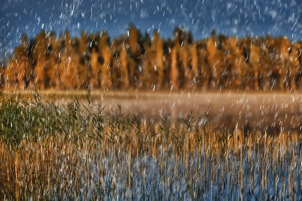 Sonbahar Tabiat Yağmuru Havayı Nemli Hava Manzarasını Sonbahar Havasını Düşürür — Stok fotoğraf