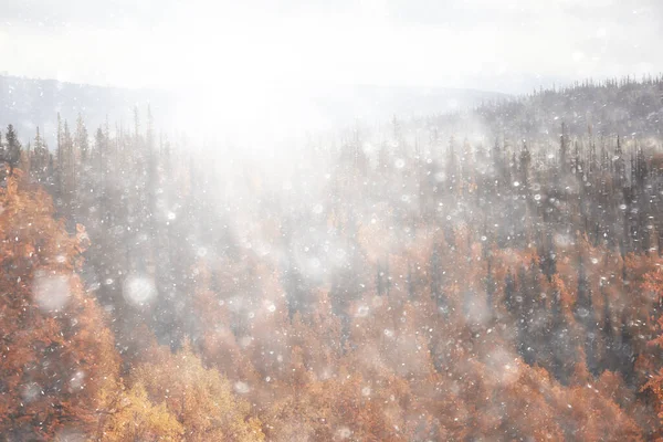 Jesienne Góry Leśne Panorama Drzewa Krajobrazowe Natura Żółty Sezon — Zdjęcie stockowe