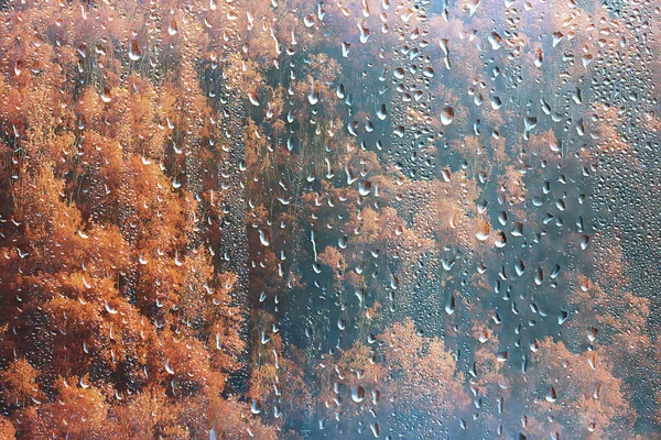 Regenvenster Uitzicht Water Druppels Glas Uitzicht Bos Bergen Landschap Achtergrond — Stockfoto