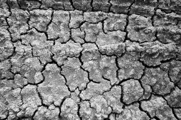 Texture Désert Sécheresse Fond Abstrait Terre Fissurée Réchauffement Planétaire — Photo