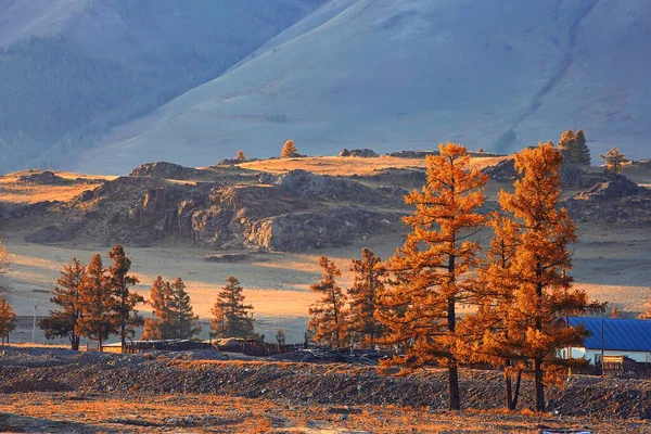 Podzimní Lesní Hory Panorama Krajina Stromy Příroda Žlutá Sezóna — Stock fotografie