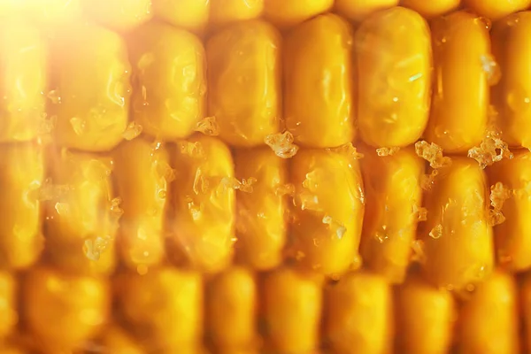 Горячая Вареная Кукуруза Початок Свежий Овощной Диеты Фон — стоковое фото