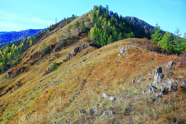 알타이 산맥의 배경에는 파노라마가 보인다 — 스톡 사진