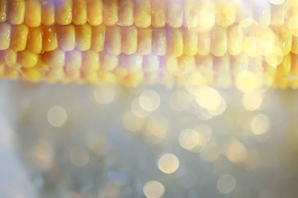 Hot Boiled Corn Cob Fresh Vegetable Diet Background — Stock Photo, Image