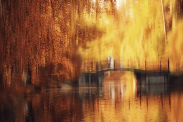 Sonnige Landschaft Herbst Park Herbst Jahreszeit Hintergrund Orange Park — Stockfoto